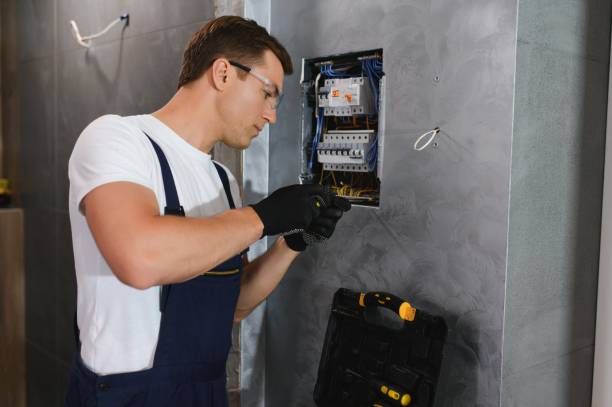 Best Electric Panel Repair  in , SD